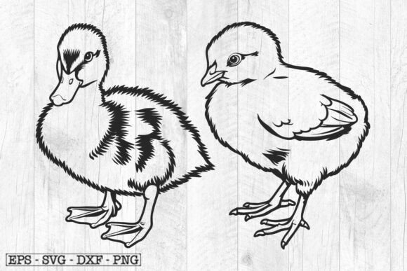 Duckling Svg, Chick Svg, Funny Birds Svg for Creative Graphics